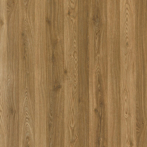 C005 CRICKET