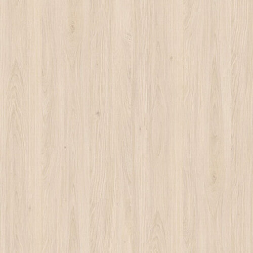 H1384 Chêne Casella blanc