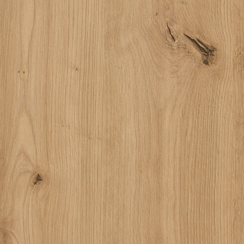 H1318_ST10_chene_sauvage_naturel